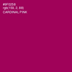 #9F0258 - Cardinal Pink Color Image